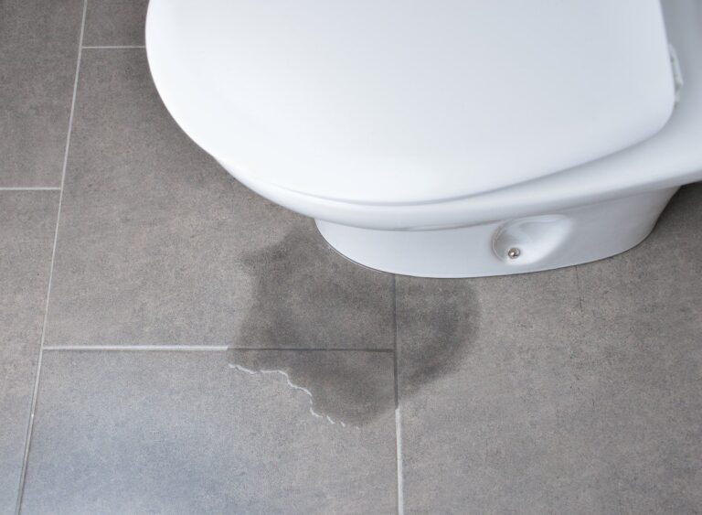 Leaky Toilet Hose Bathroom: Causes, Solutions, and Prevention
