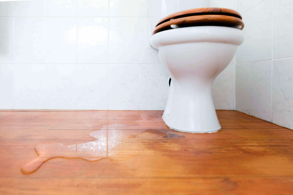 shower leak repair